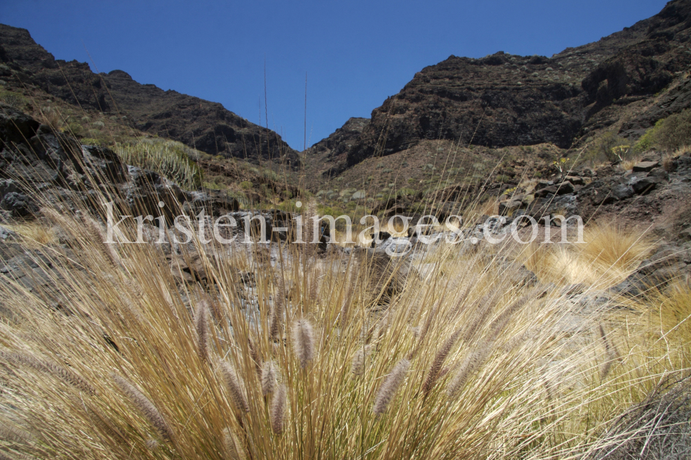 Gran Canaria by kristen-images.com