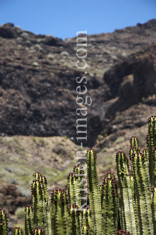 Gran Canaria by kristen-images.com