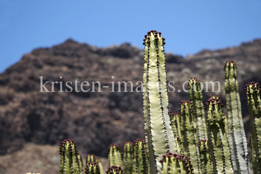 Gran Canaria by kristen-images.com