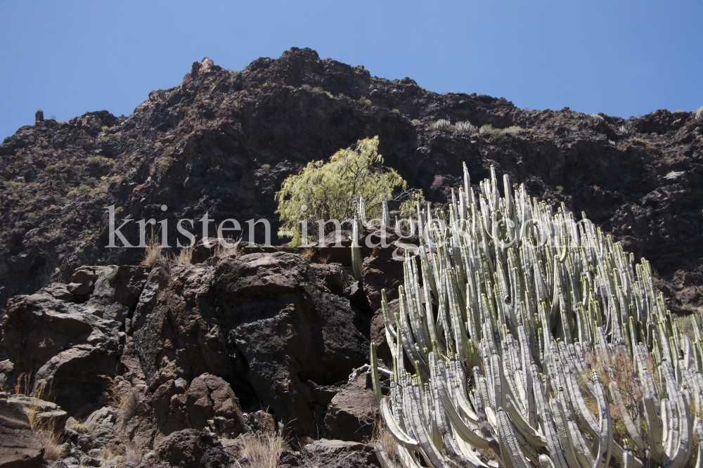 Gran Canaria by kristen-images.com