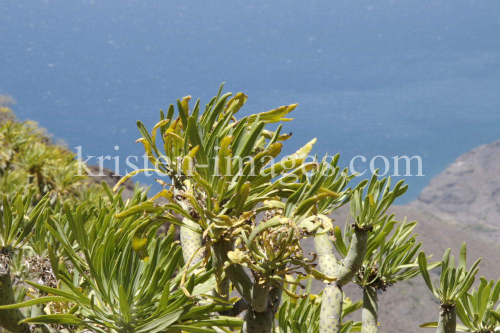 Gran Canaria by kristen-images.com