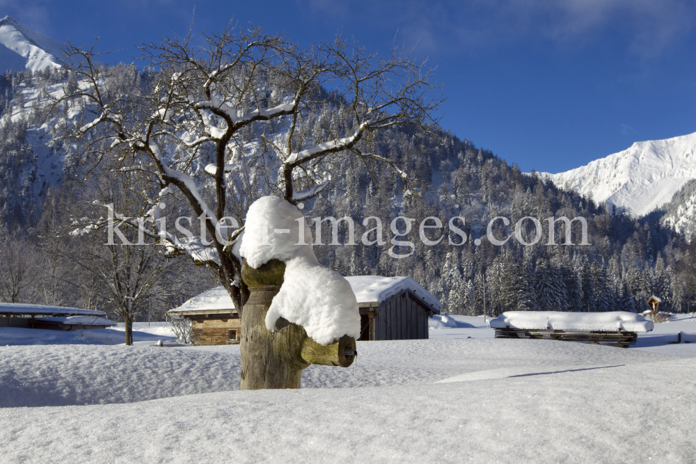 Achensee Tourismus / Achenkirch by kristen-images.com