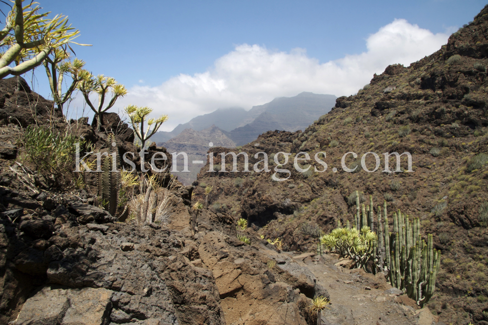 Gran Canaria by kristen-images.com