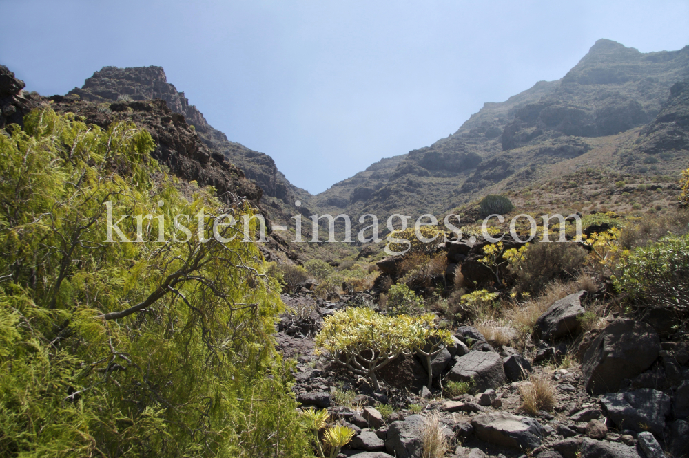 Gran Canaria by kristen-images.com