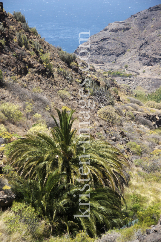 Gran Canaria by kristen-images.com