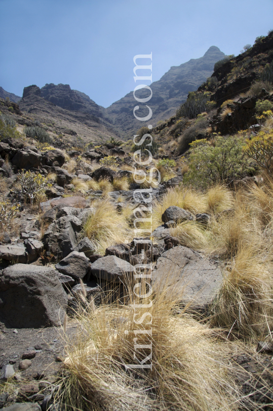 Gran Canaria by kristen-images.com