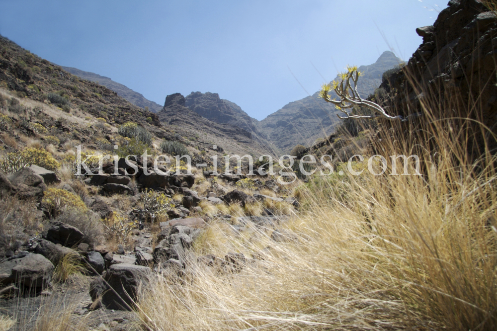 Gran Canaria by kristen-images.com