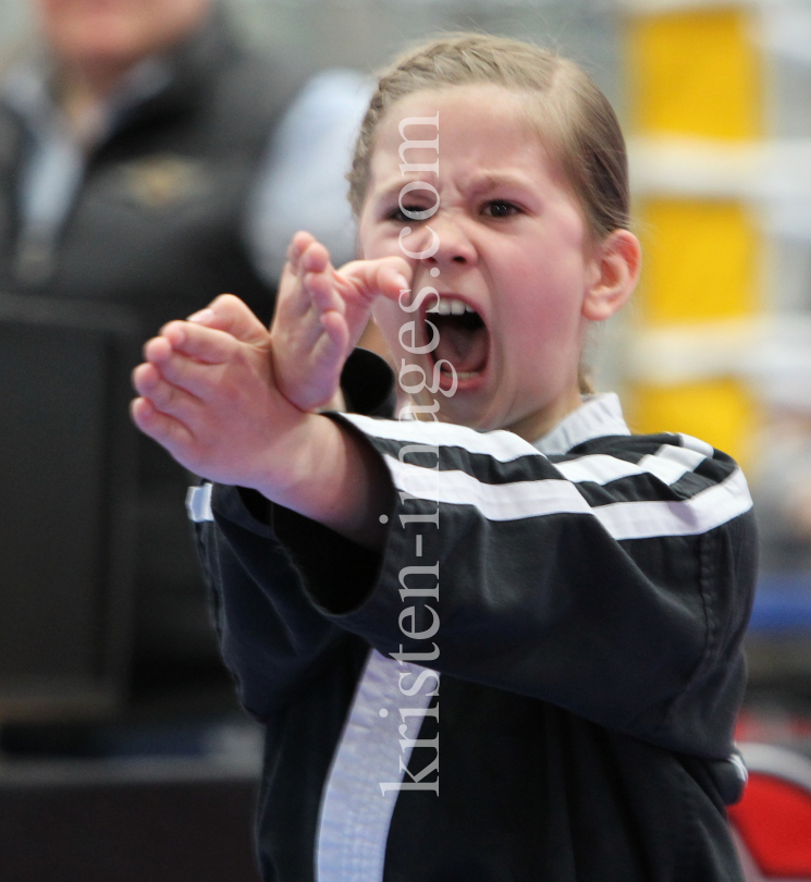 Kickboxing Worldcup Austrian Classics / Innsbruck by kristen-images.com