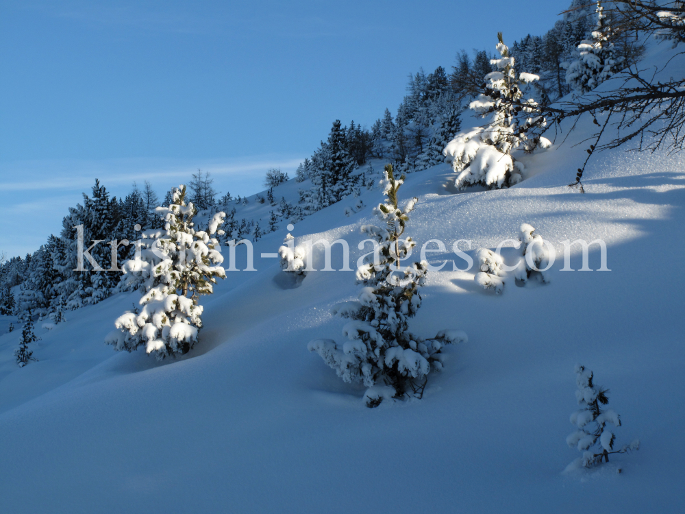 Patscherkofel / Tirol by kristen-images.com