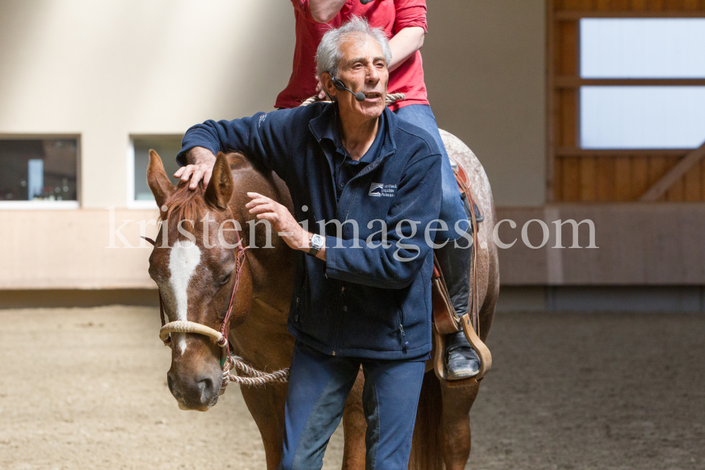 klassische Dressur / Aldrans, Tirol by kristen-images.com