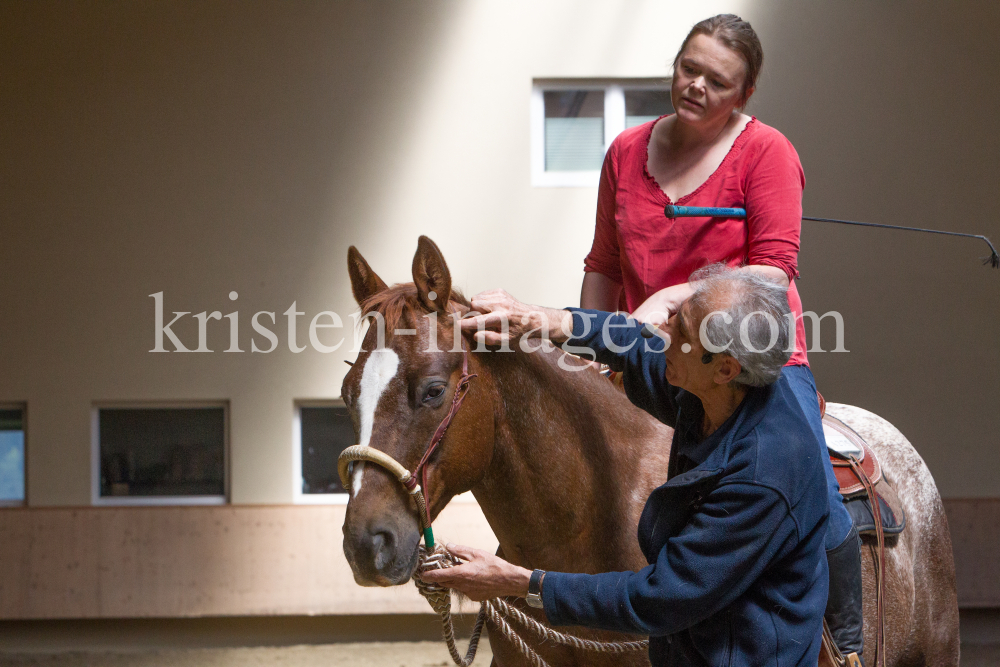 klassische Dressur / Aldrans, Tirol by kristen-images.com