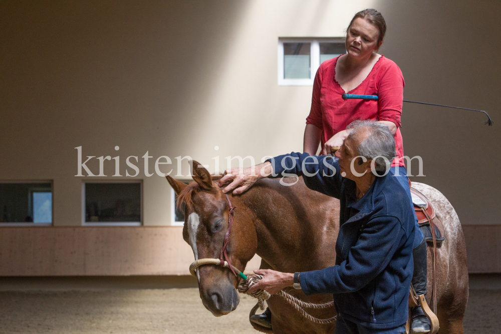 klassische Dressur / Aldrans, Tirol by kristen-images.com