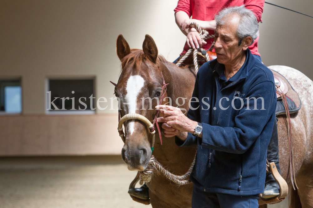 klassische Dressur / Aldrans, Tirol by kristen-images.com