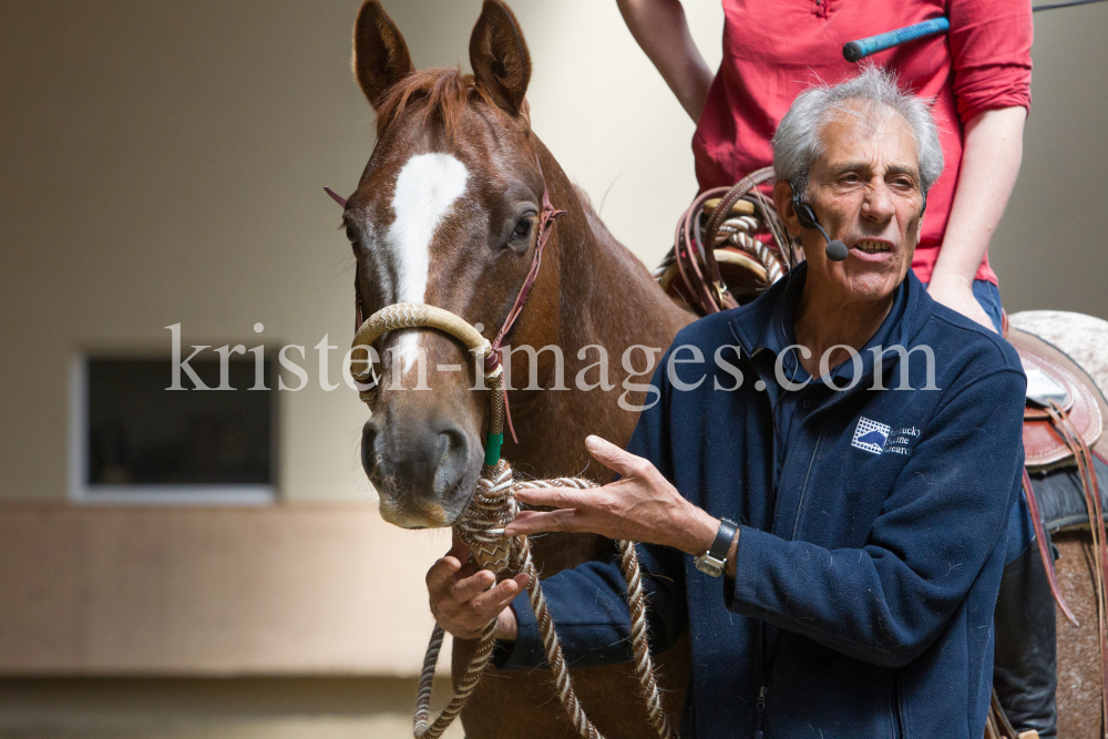 klassische Dressur / Aldrans, Tirol by kristen-images.com