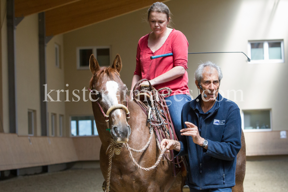 klassische Dressur / Aldrans, Tirol by kristen-images.com