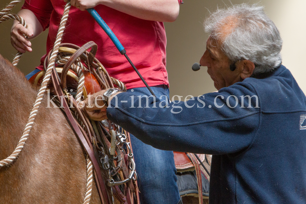 klassische Dressur / Aldrans, Tirol by kristen-images.com