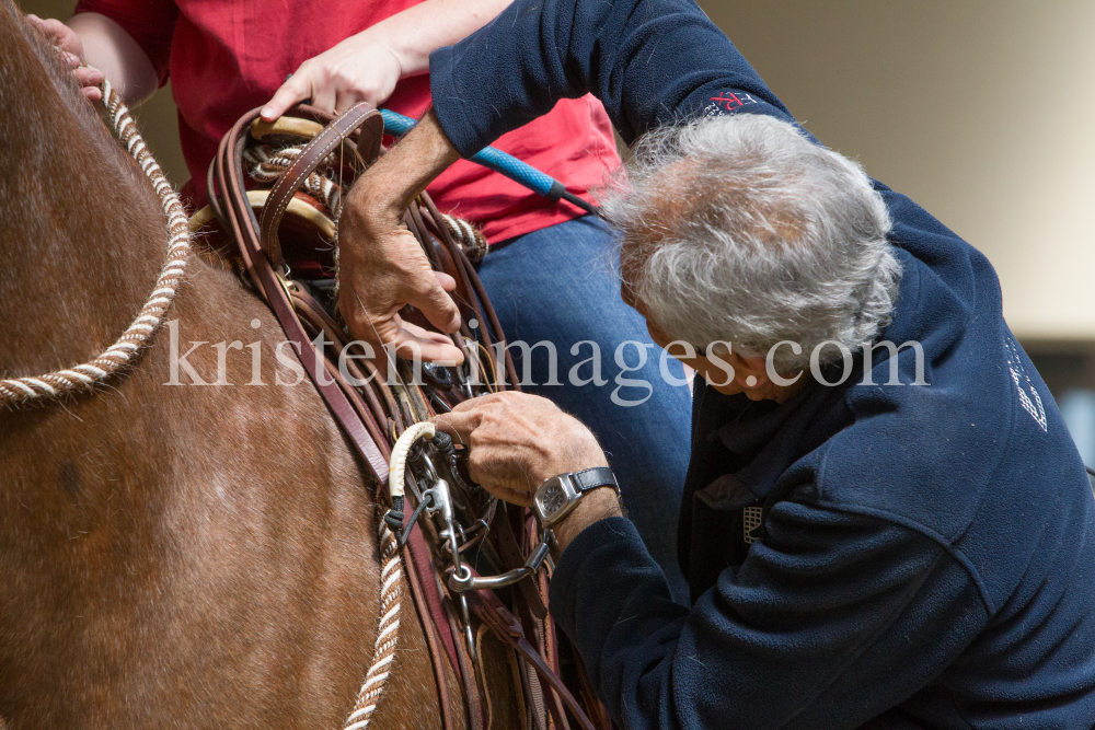 klassische Dressur / Aldrans, Tirol by kristen-images.com