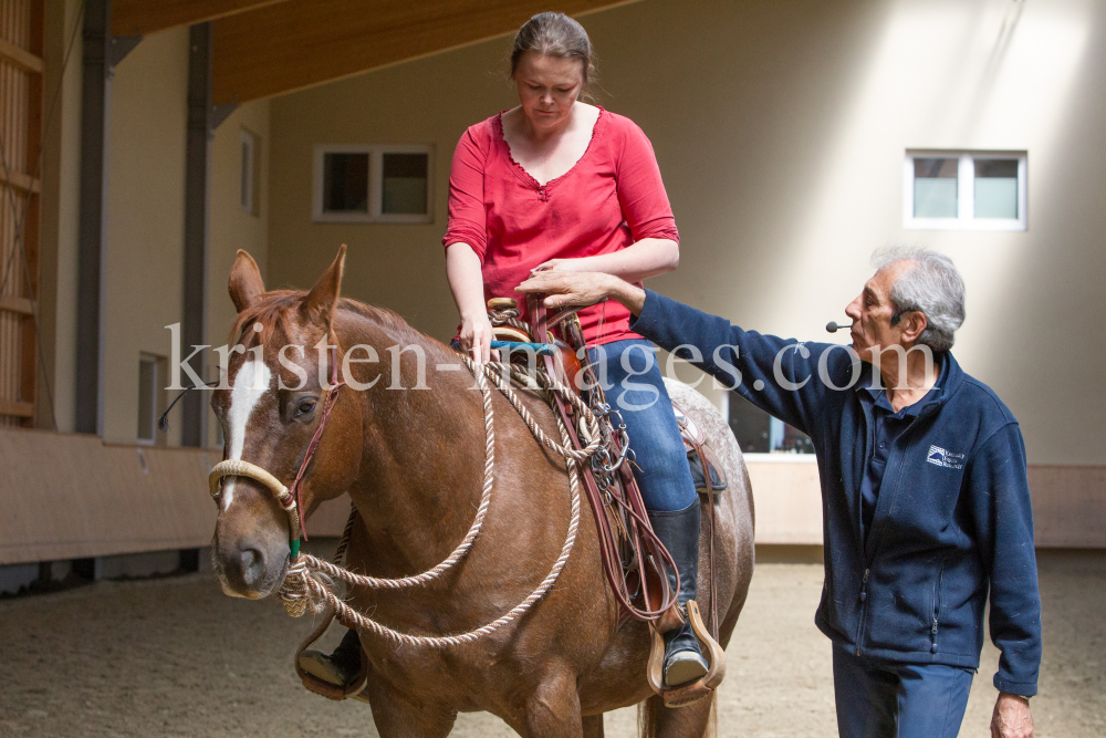 klassische Dressur / Aldrans, Tirol by kristen-images.com