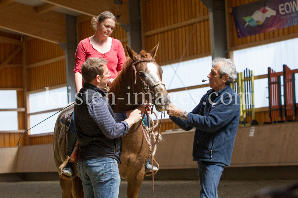 klassische Dressur / Aldrans, Tirol by kristen-images.com