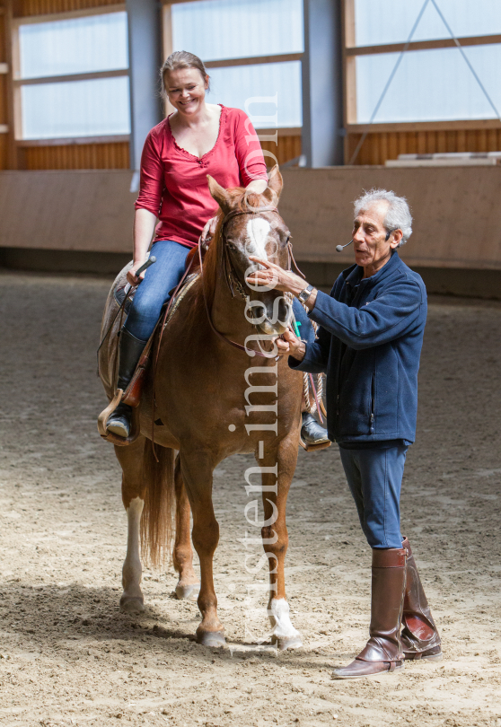 klassische Dressur / Aldrans, Tirol by kristen-images.com