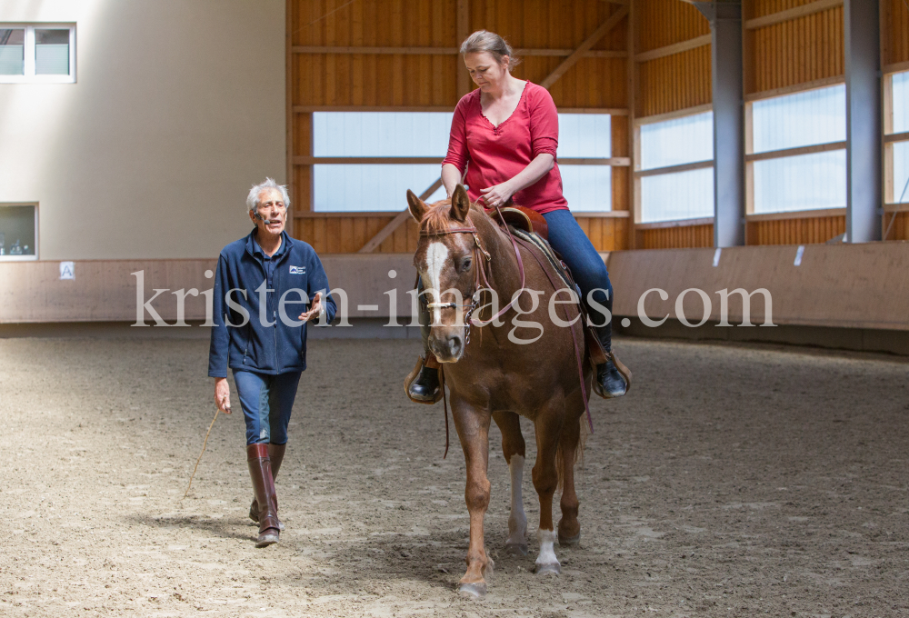 klassische Dressur / Aldrans, Tirol by kristen-images.com