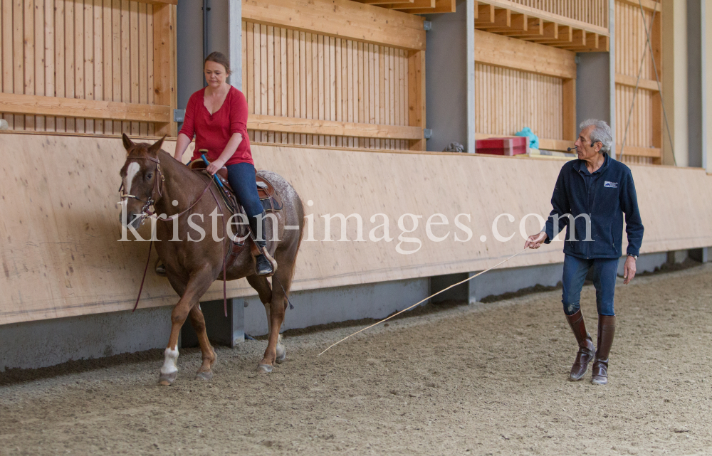 klassische Dressur / Aldrans, Tirol by kristen-images.com