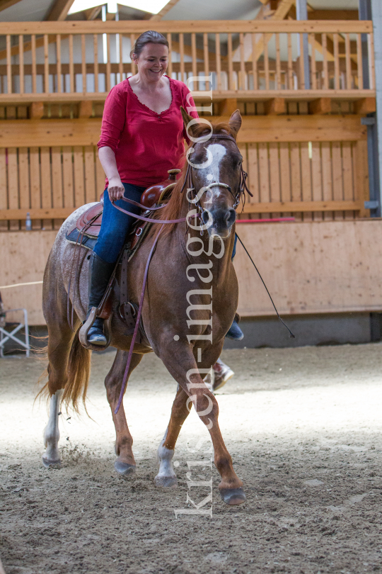 klassische Dressur / Aldrans, Tirol by kristen-images.com