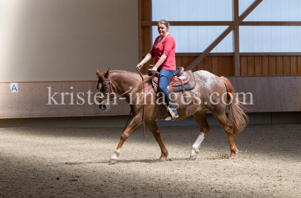 klassische Dressur / Aldrans, Tirol by kristen-images.com