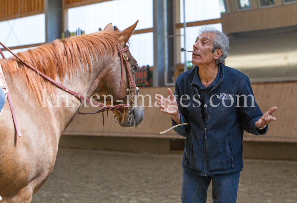 klassische Dressur mit Monolo Mendez / Aldrans, Tirol by kristen-images.com