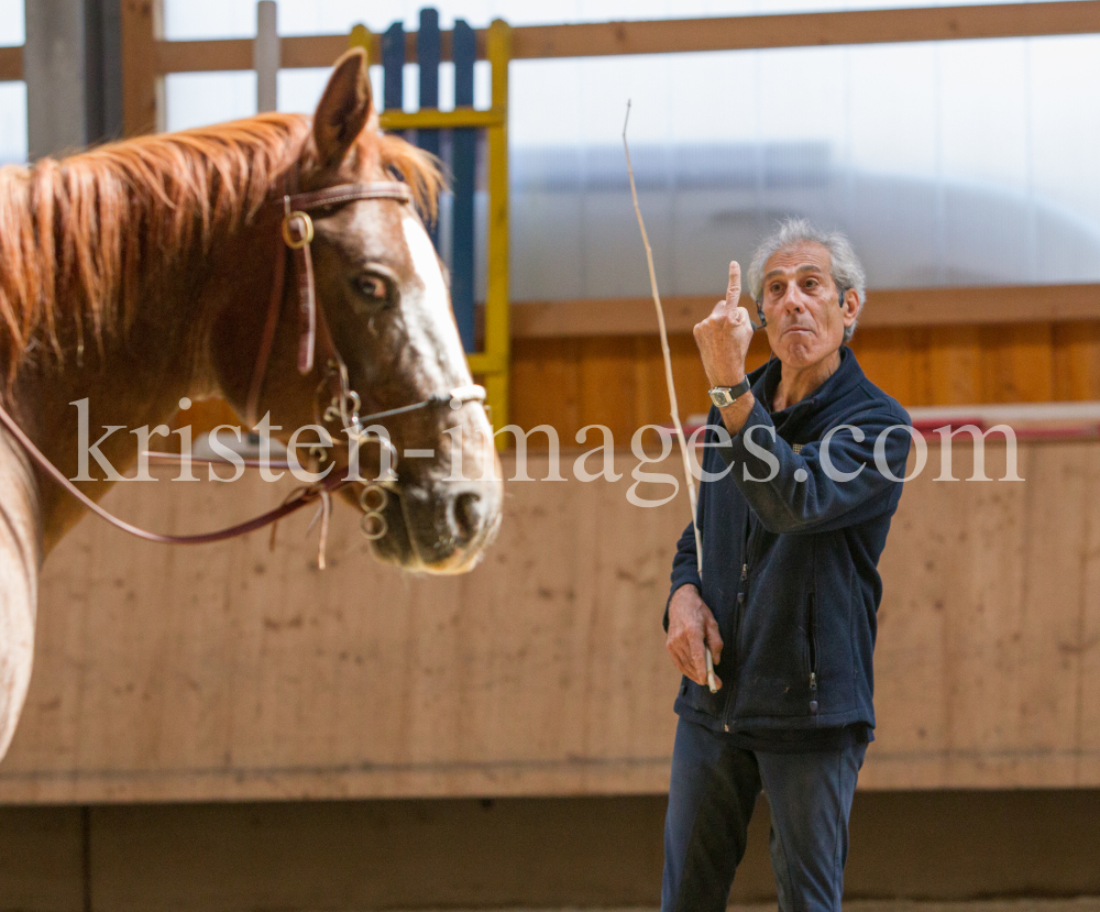 klassische Dressur mit Monolo Mendez / Aldrans, Tirol by kristen-images.com