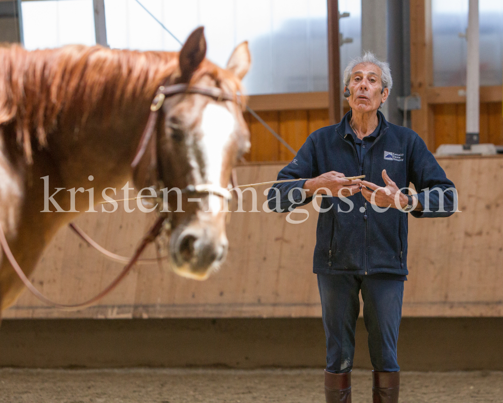 klassische Dressur / Aldrans, Tirol by kristen-images.com