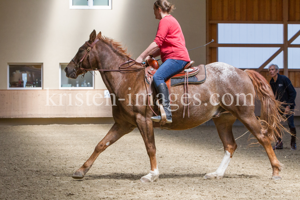 klassische Dressur / Aldrans, Tirol by kristen-images.com