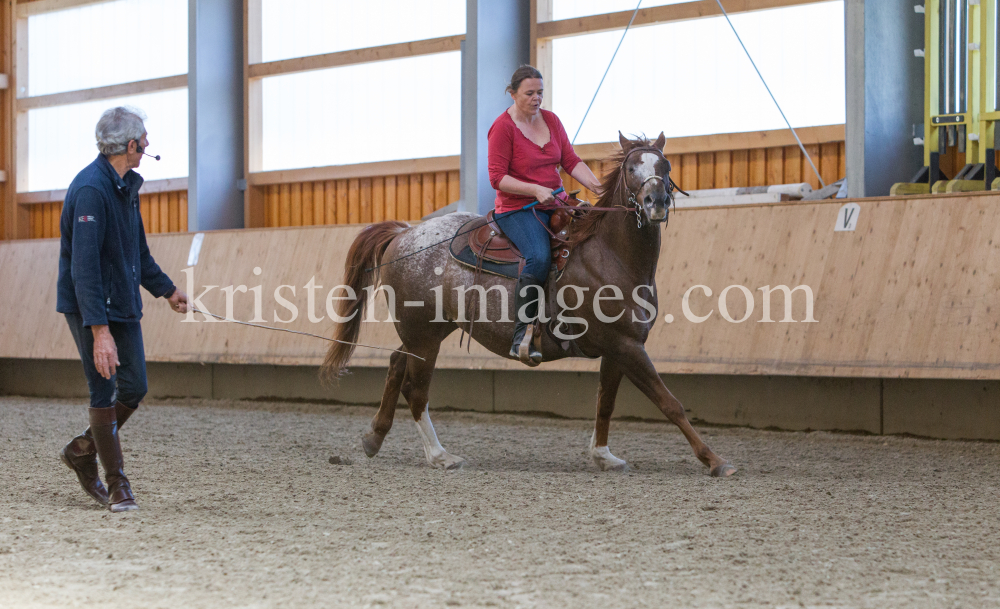 klassische Dressur / Aldrans, Tirol by kristen-images.com