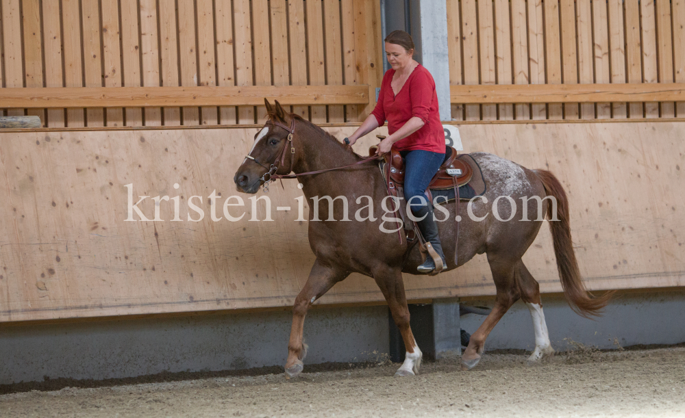 klassische Dressur / Aldrans, Tirol by kristen-images.com