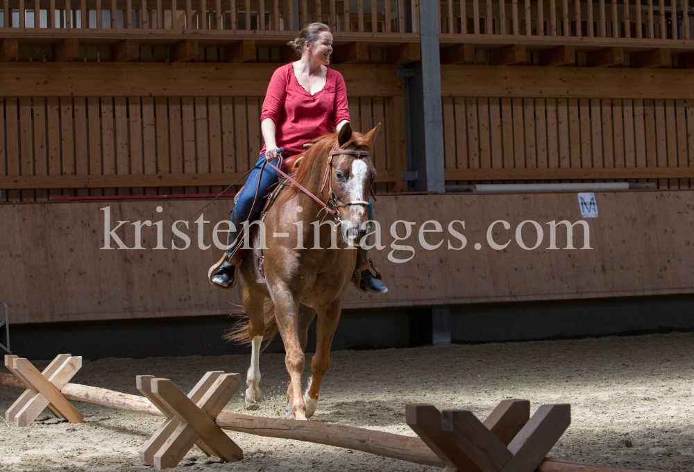 klassische Dressur / Aldrans, Tirol by kristen-images.com