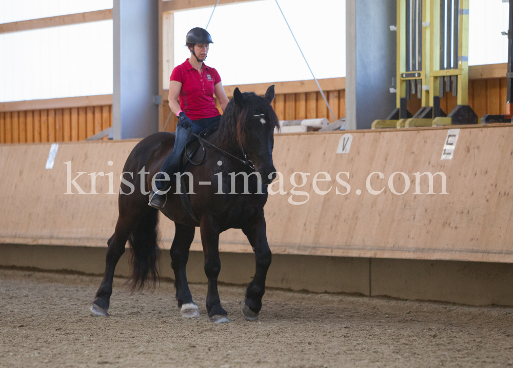 klassische Dressur / Aldrans, Tirol by kristen-images.com