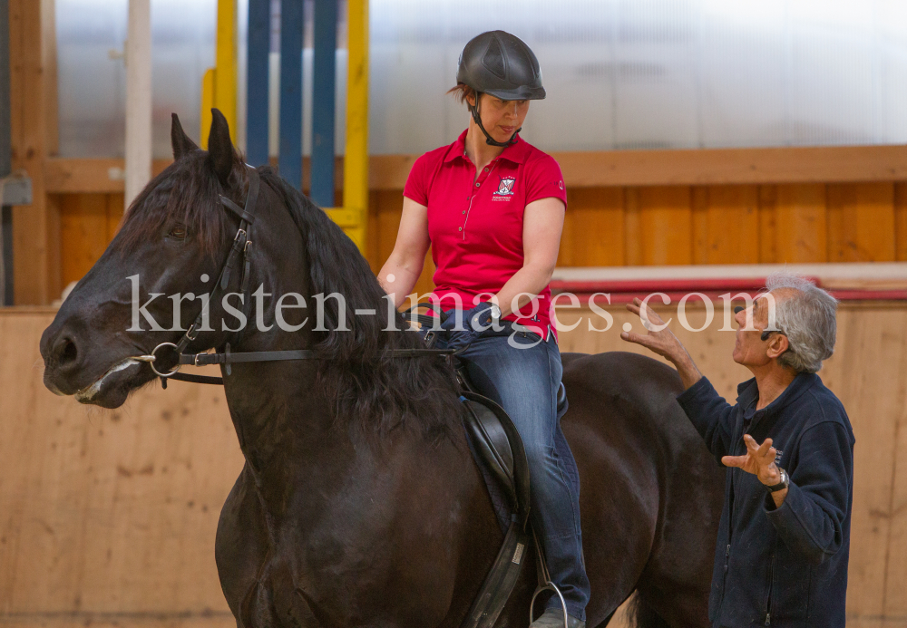 klassische Dressur / Aldrans, Tirol by kristen-images.com