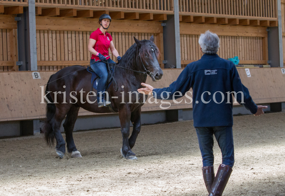 klassische Dressur / Aldrans, Tirol by kristen-images.com