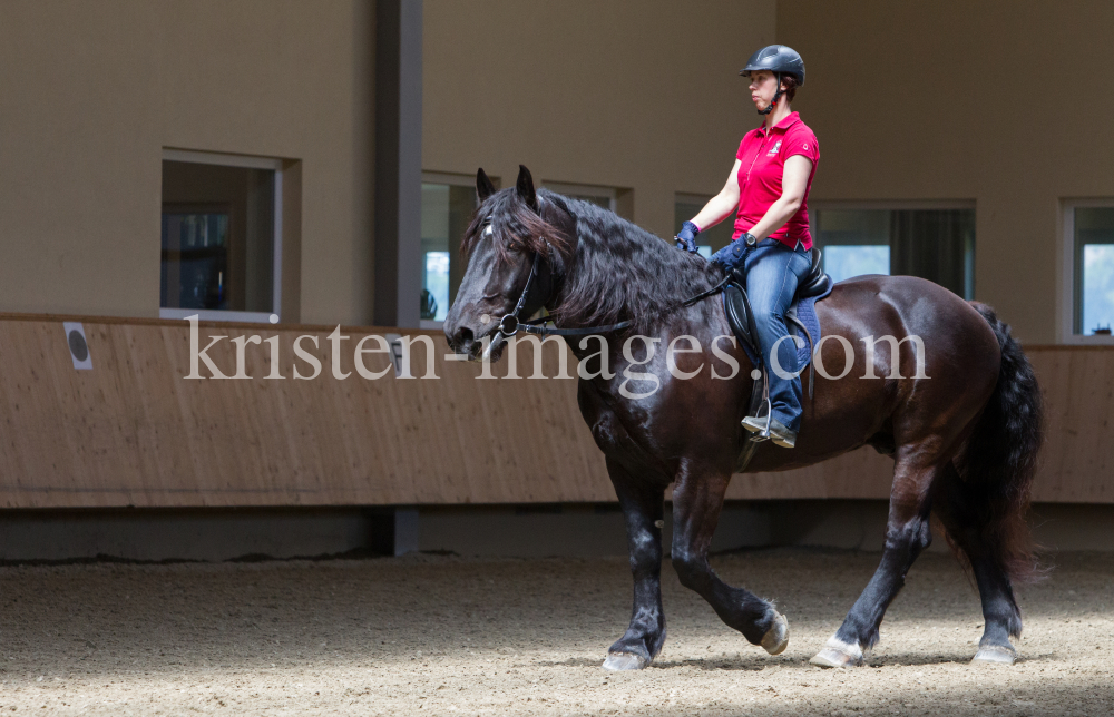 klassische Dressur / Aldrans, Tirol by kristen-images.com