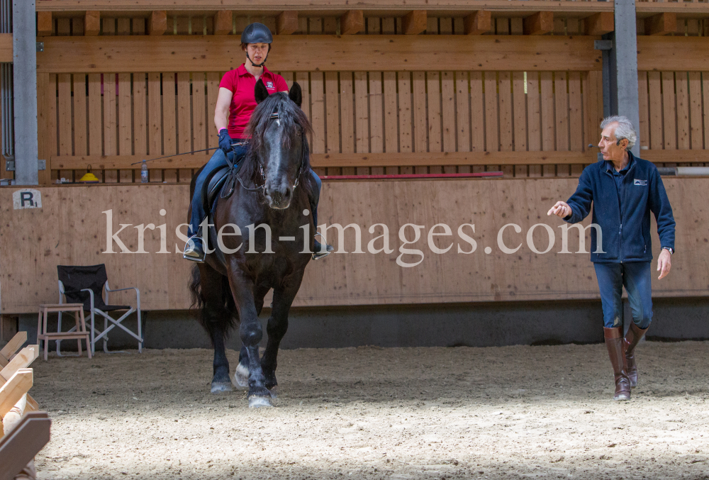 klassische Dressur / Aldrans, Tirol by kristen-images.com