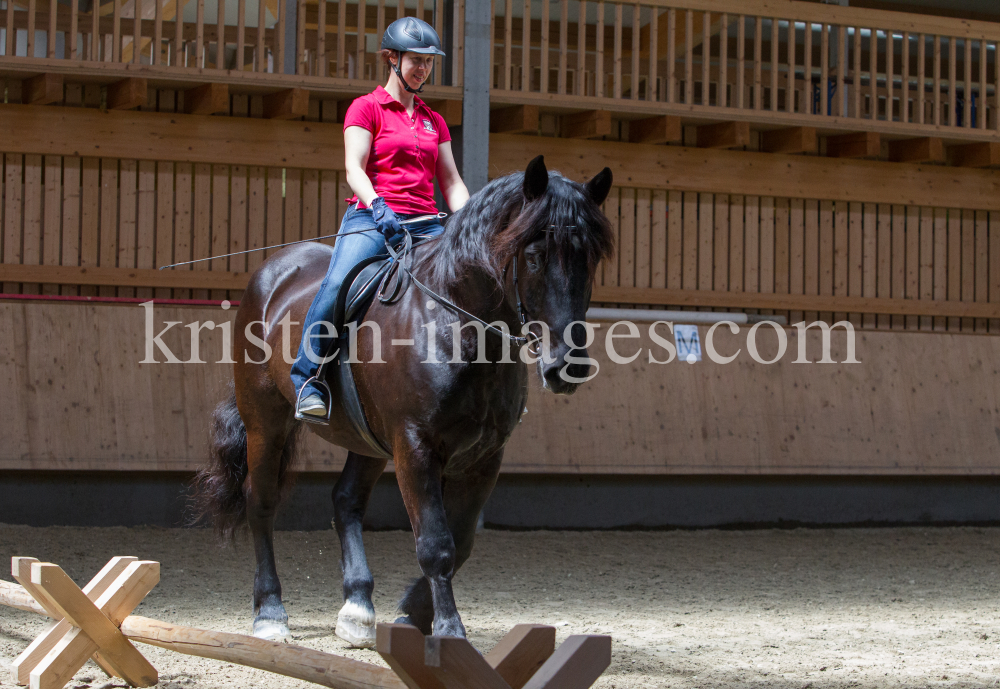 klassische Dressur mit Monolo Mendez / Aldrans, Tirol by kristen-images.com