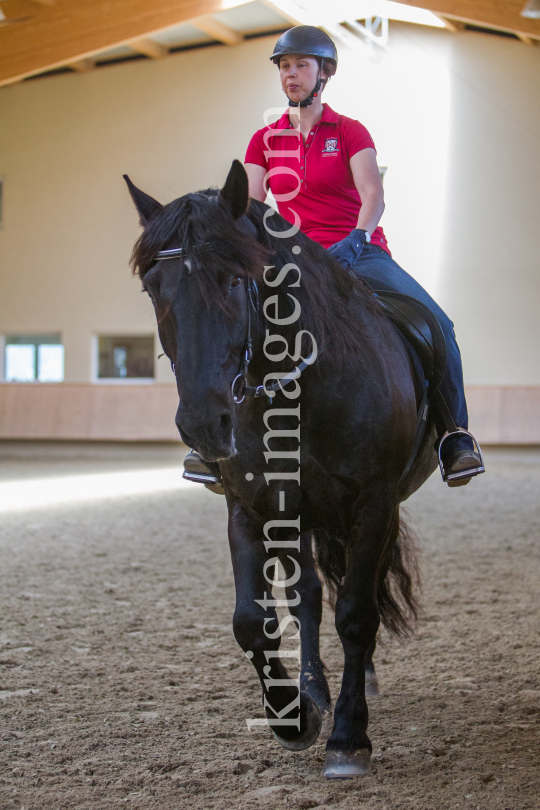 klassische Dressur / Aldrans, Tirol by kristen-images.com