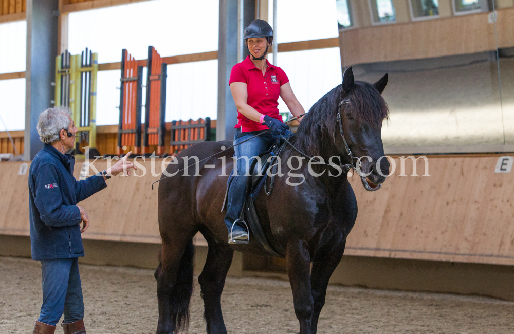 klassische Dressur / Aldrans, Tirol by kristen-images.com