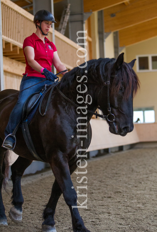 klassische Dressur mit Monolo Mendez / Aldrans, Tirol by kristen-images.com