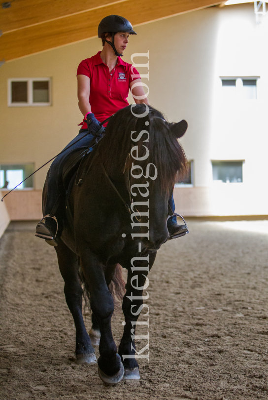 klassische Dressur / Aldrans, Tirol by kristen-images.com