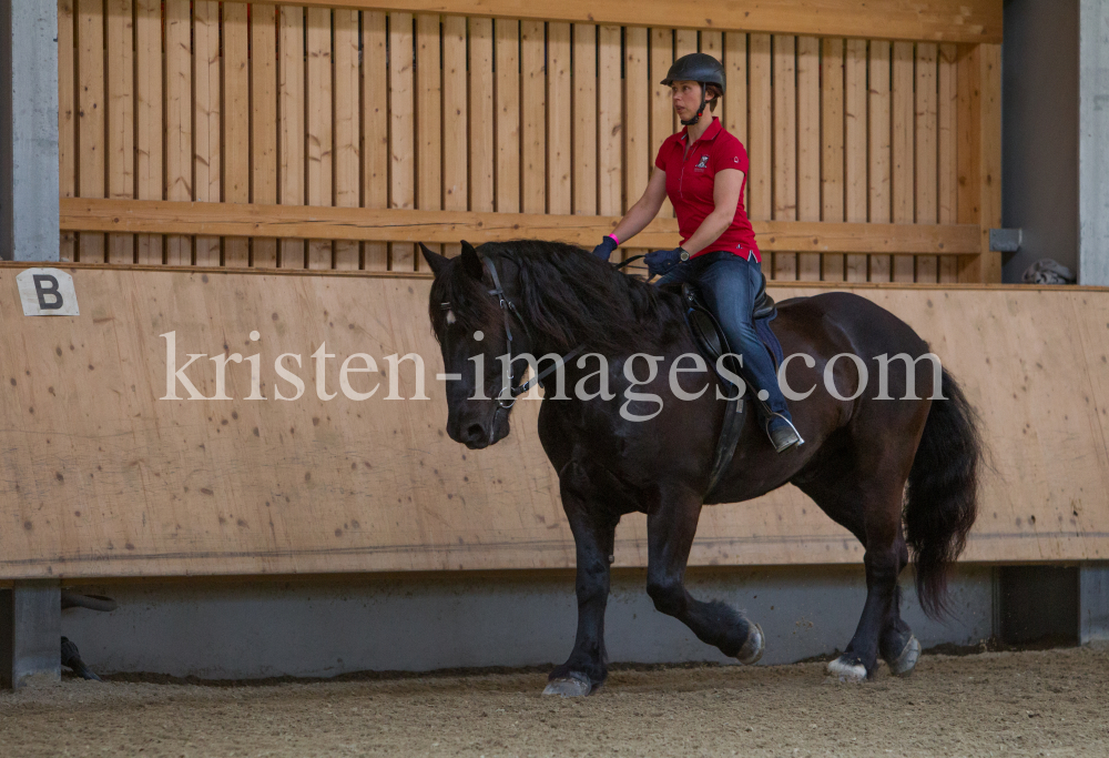 klassische Dressur / Aldrans, Tirol by kristen-images.com