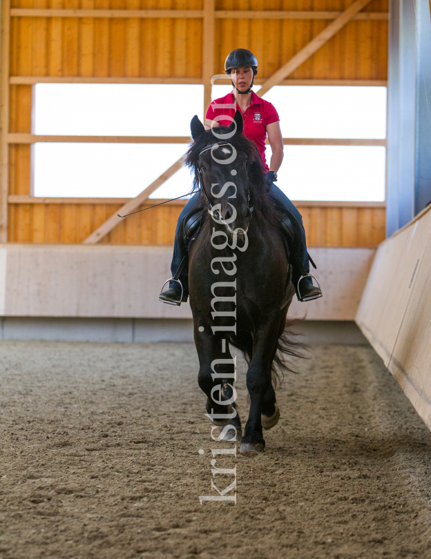 klassische Dressur / Aldrans, Tirol by kristen-images.com