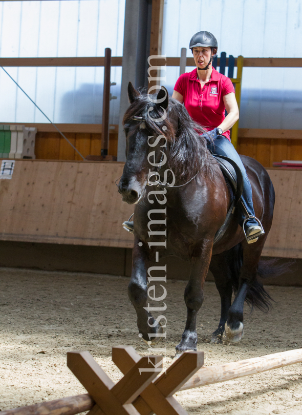 klassische Dressur / Aldrans, Tirol by kristen-images.com