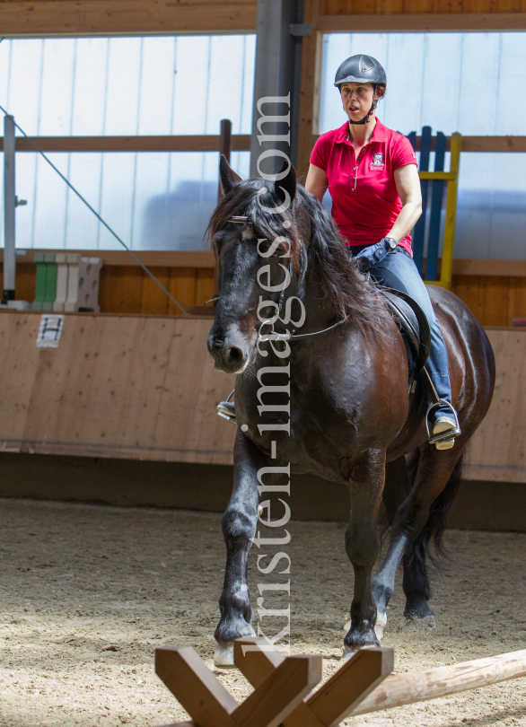 klassische Dressur mit Monolo Mendez / Aldrans, Tirol by kristen-images.com