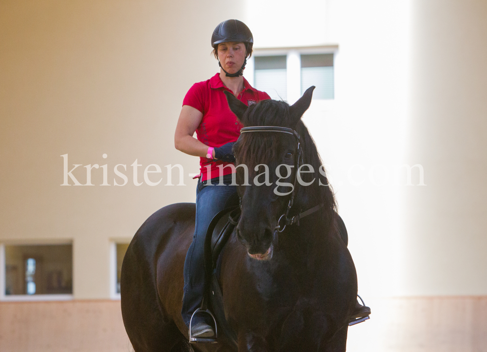 klassische Dressur / Aldrans, Tirol by kristen-images.com